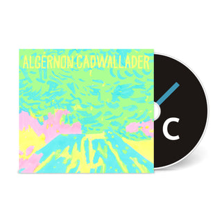 Trying Not to Have a Thought