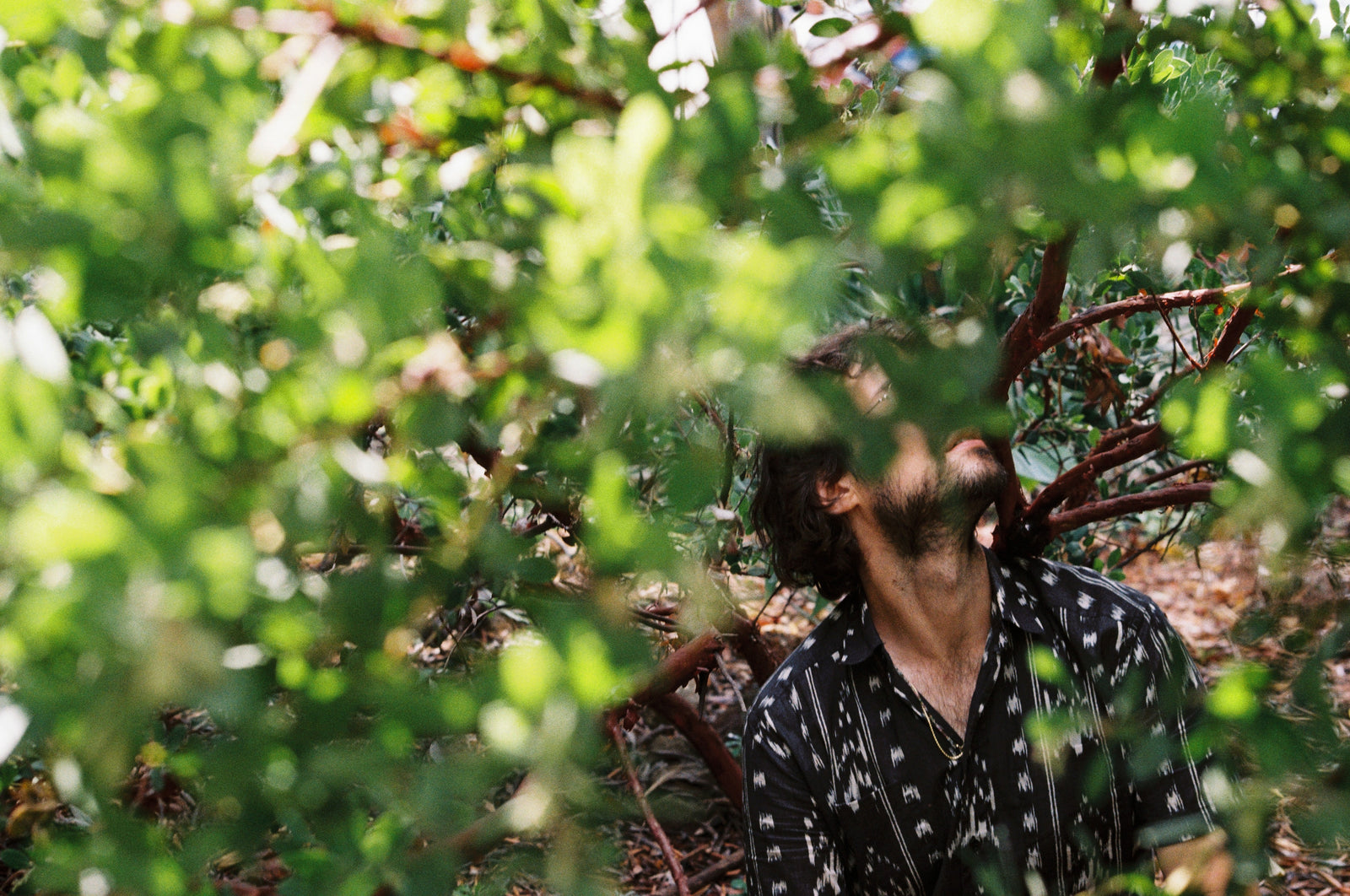 Young Jesus - The Weasel