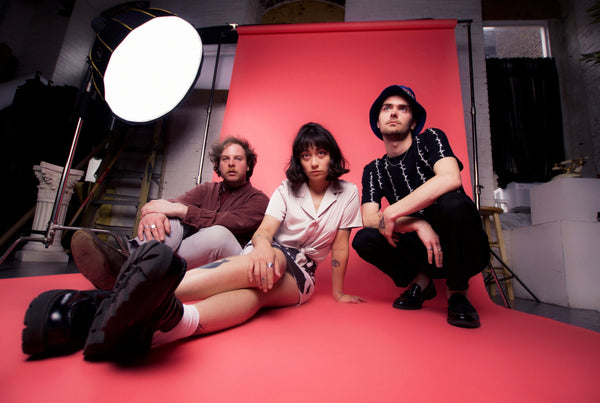 SPIRIT OF THE BEEHIVE