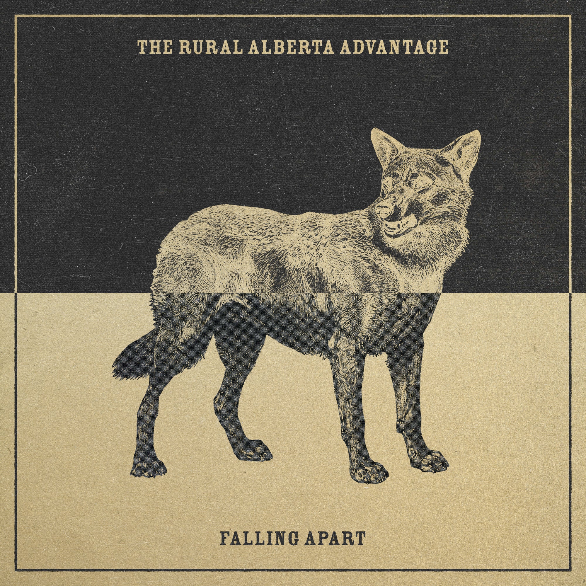 Falling Apart