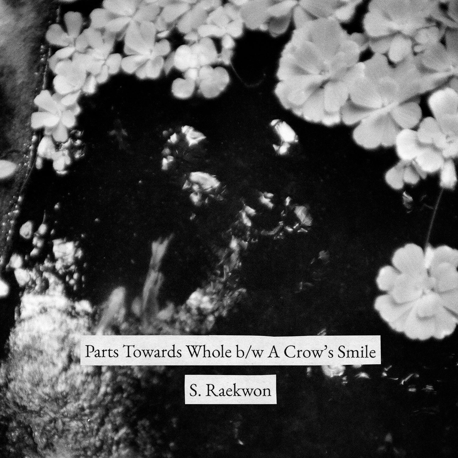 Parts Towards Whole b/w A Crow's Smile