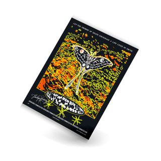 Poster Tube for Forest Fire LP Bundle [DO NOT REMOVE]