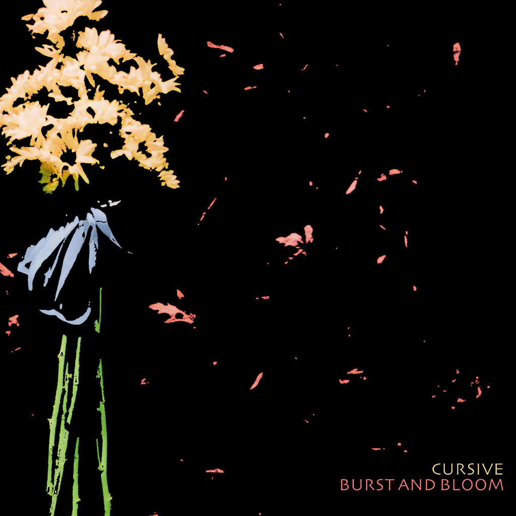 Burst and Bloom